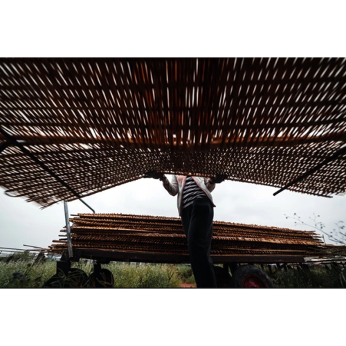 Nghề làm hủ tiếu - cái hồn của Sa Đéc