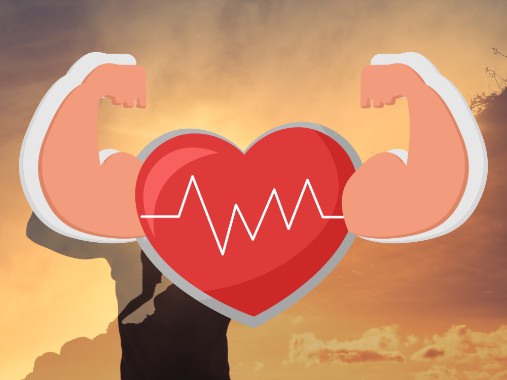 2. Bảo vệ tim mạch hiệu quả