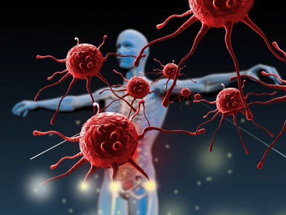 Tăng cường hệ miễn dịch