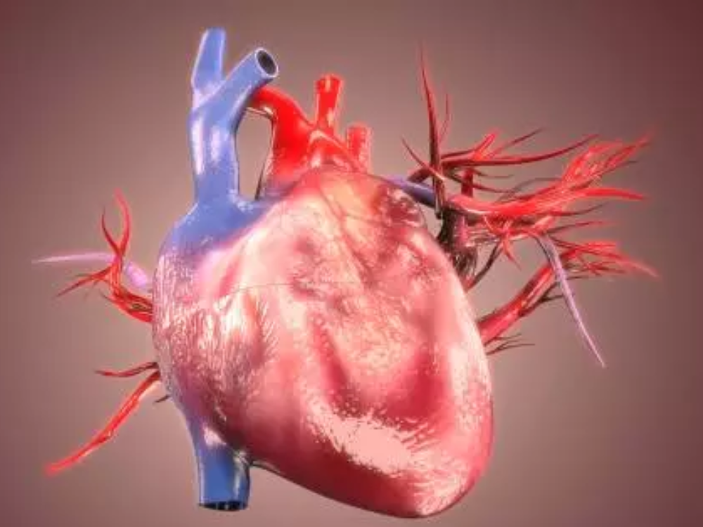 Tốt cho tim mạch và huyết áp