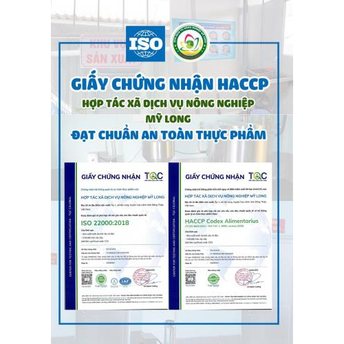 Giấy chứng nhận, bằng khen