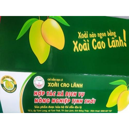 Liên kết tiêu thụ sản phẩm xoài