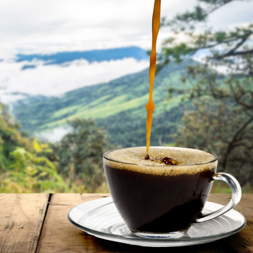 Thói Quen Uống Cà Phê – Bí Quyết Sống Vui, Sống Khỏe