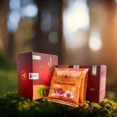 Uống Trà Linh Chi Thảo Dược Vào Lúc Nào Tốt Nhất?