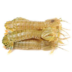 Tôm tít có chất dinh dưỡng gì?