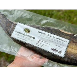 Hàm lượng dưỡng chất của cá chạch