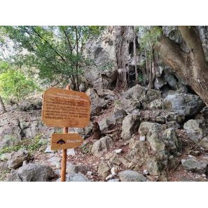 Khám phá vẻ đẹp độc đáo của Núi Đá Dựng