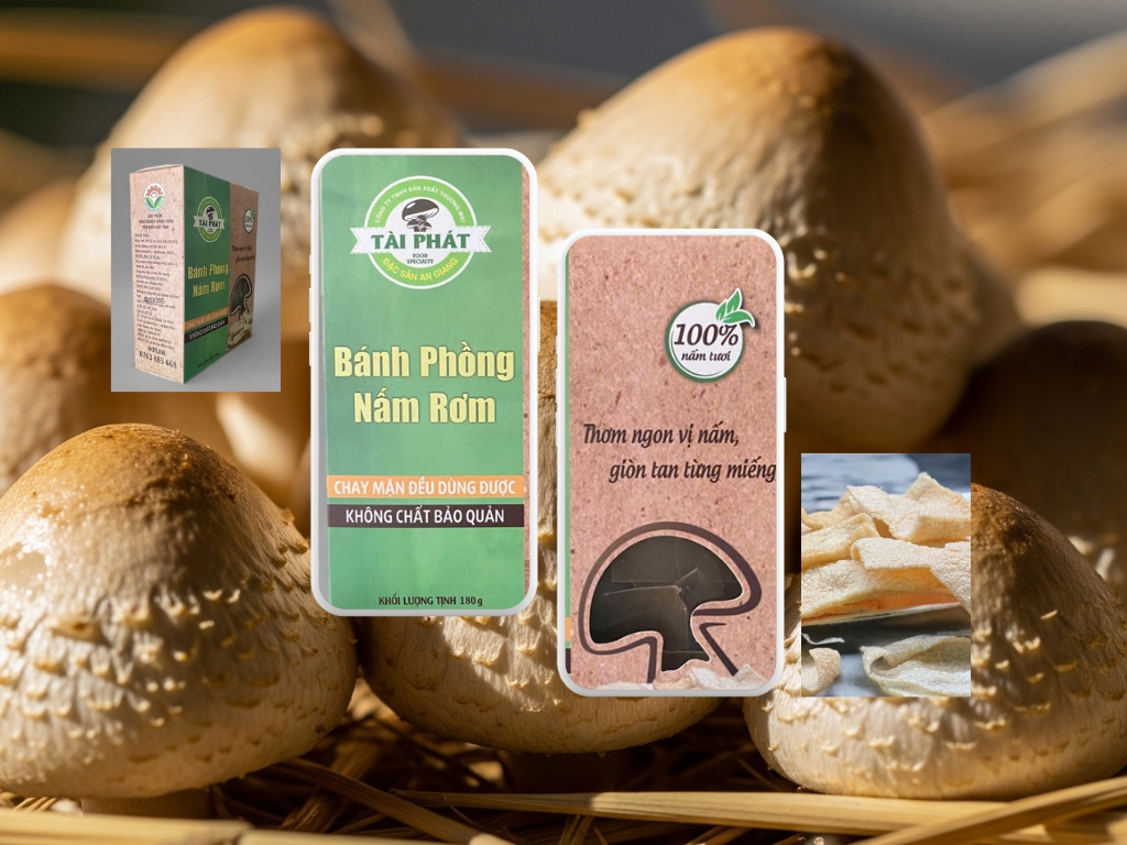 2. Sứ mệnh - Tầm nhìn - Giá trị cốt lõi