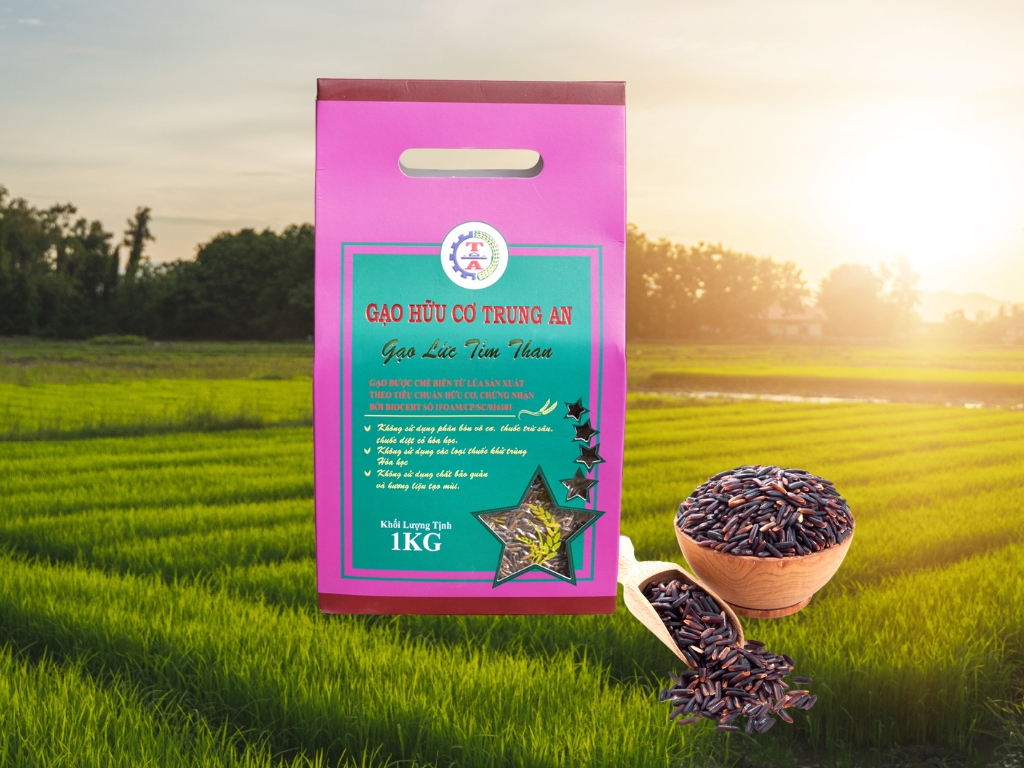 Tầm nhìn Mô hình Nông nghiệp Thuận tự nhiên