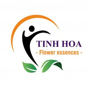 Công ty TNHH Tinh Hoa Alpha