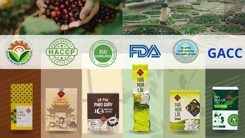 Giới thiệu công ty