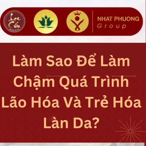 Làm Sao Để Làm Chậm Quá Trình Lão Hóa Và Trẻ Hóa Làn Da?