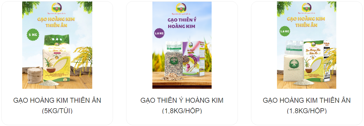 Các sản phẩm tiêu biểu