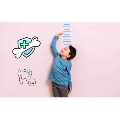 2. Hỗ trợ phát triển chiều cao