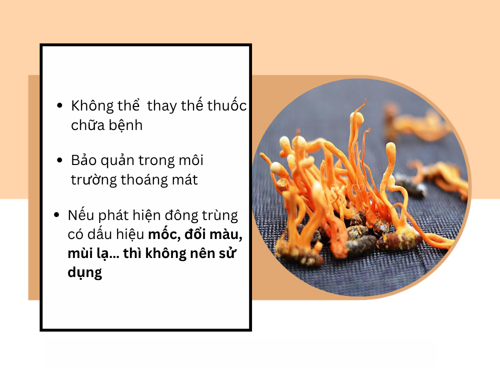 5. Những lưu ý Khi sử dụng