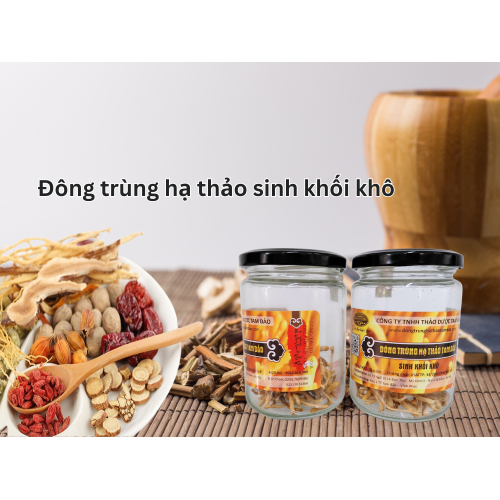 1. Đông trùng hạ thảo sinh khối khô là gì?