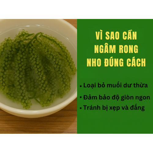 1. Vì sao cần ngâm rong nho đúng cách?