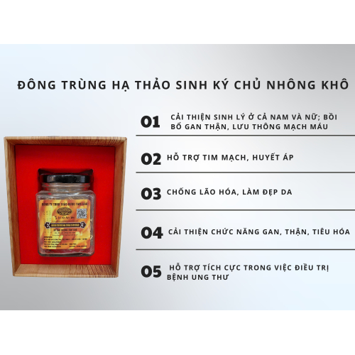 3.Công dụng của đông trùng ký chủ nhộng tằm đối với sức khỏe?