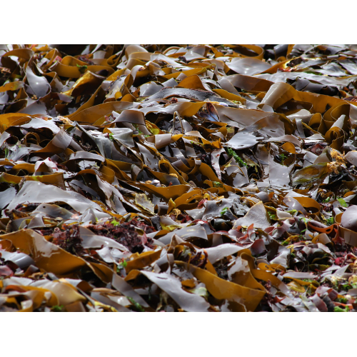 Điểm giống nhau