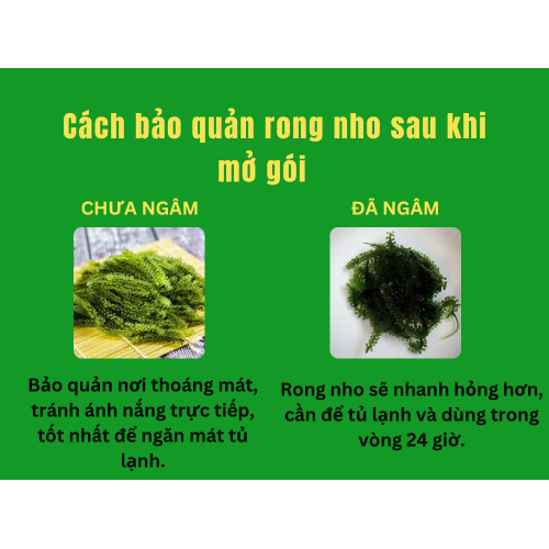 3. Cách bảo quản rong nho sau khi mở gói