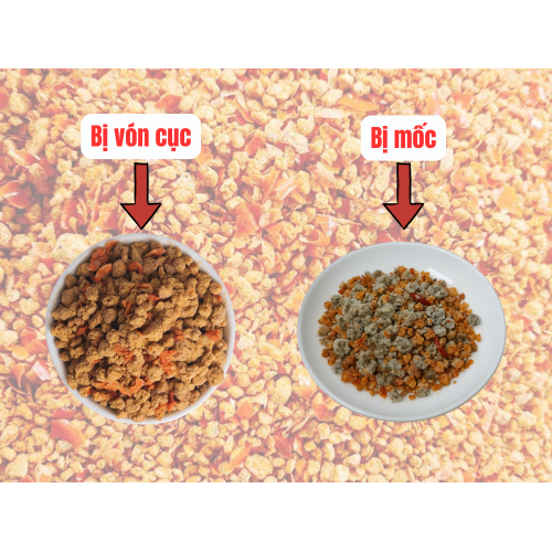 1. Vì sao muối tôm dễ hư nếu bảo quản sai cách?