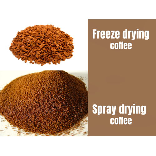 2. Phân biệt cà phê hòa tan freeze drying và spray drrying