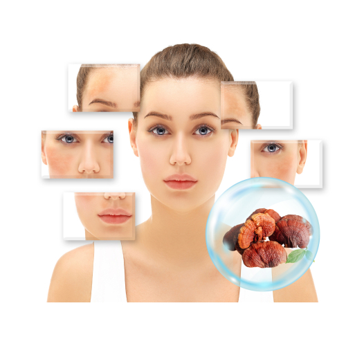 Chất chống lão hóa