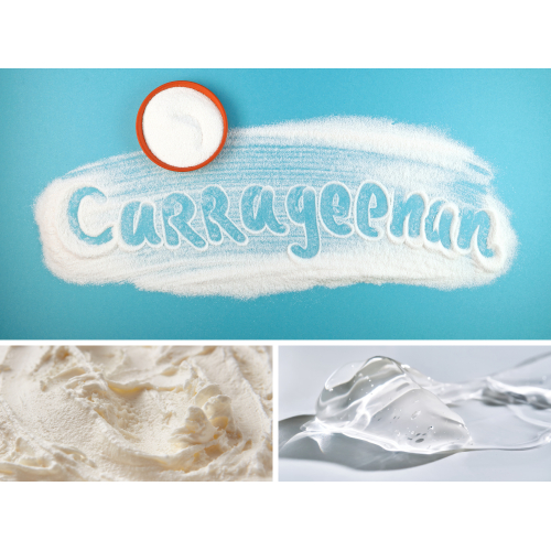 Chất phụ gia thực phẩm tự nhiên tạo gel, làm đặc kết cấu thực phẩm