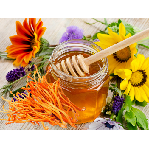 Tỉ lệ ngâm Đông Trùng Hạ Thảo và mật ong