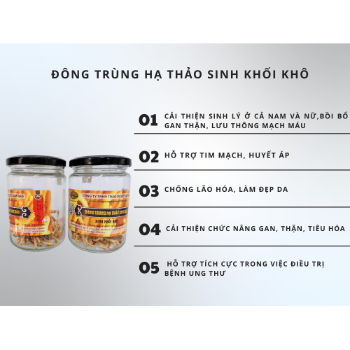 3. Công dụng đông trùng hạ thảo sinh khối khô