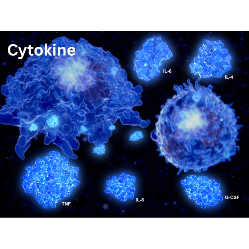 Tăng cường sản xuất các yếu tố miễn dịch - Cytokyine