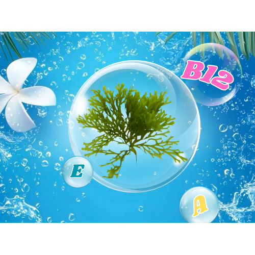 Làm trắng da và mờ vết thâm