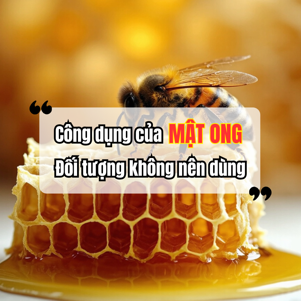 Công Dụng Tuyệt Vời Của Mật Ong Và Những Đối Tượng Không Nên Sử Dụng