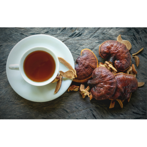 2. Liều dùng nấm linh chi cho người trưởng thành khỏe mạnh