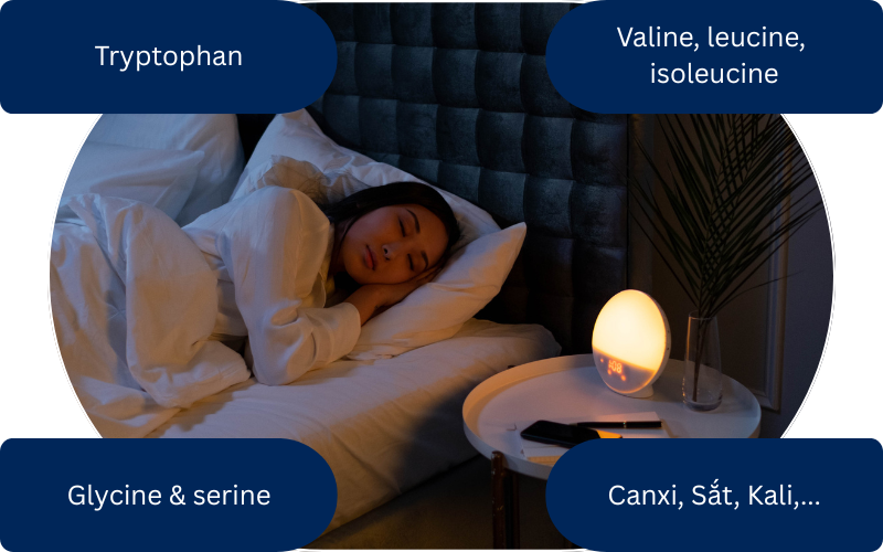 Thành phần dinh dưỡng giúp yến sào hỗ trợ ngủ ngon và giảm mệt mỏi