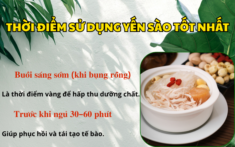 Thời điểm sử dụng yến sào tốt nhất trong ngày